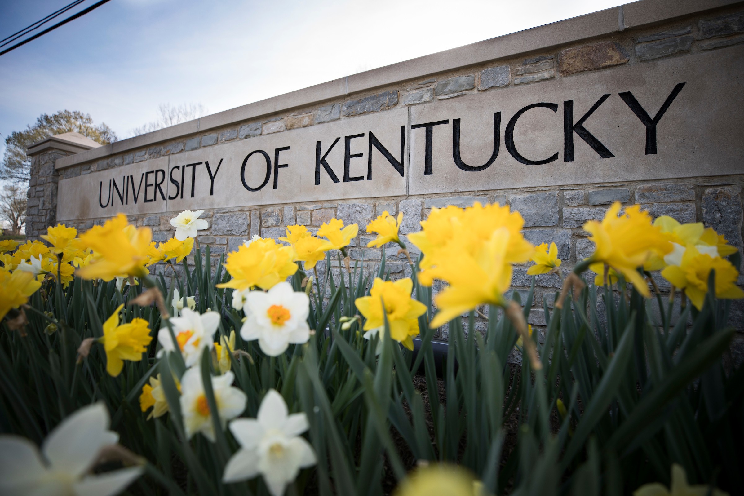 University of Kentucky Undergraduate Scholarships 2025