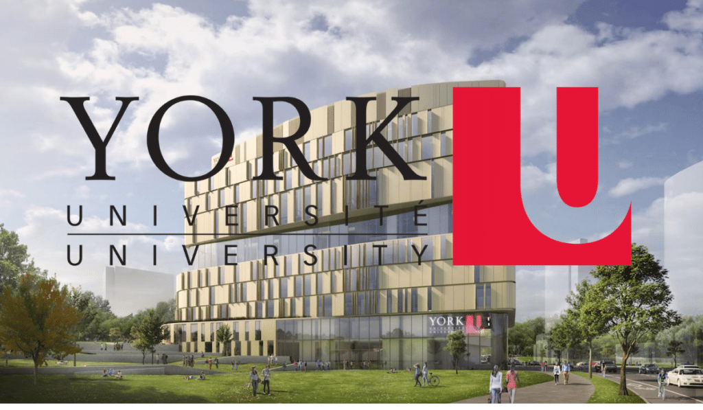 York University scholarships and bursaries