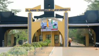 Olabisi Onabanjo University school fees