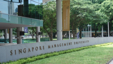 2024 Shirin Fozdar Scholarship at Singapore Management University