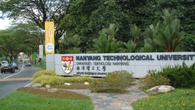 LKCMedicine Scholarship at Nanyang Technological University