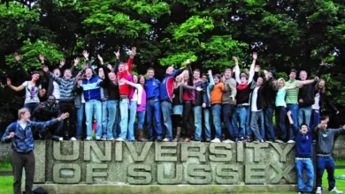 Sussex Graduate Scholarship 2024 at the University of Sussex