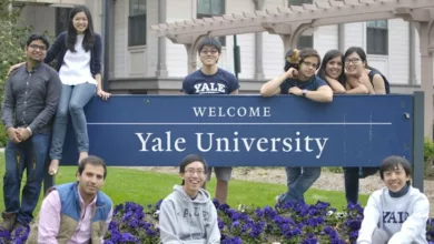 Yale Scholarship Programme for 2024