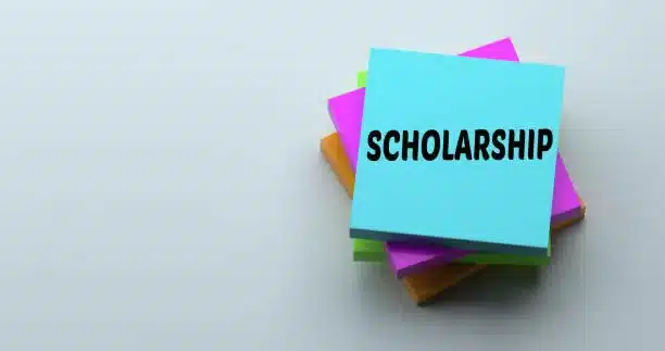 Transfer Scholarships 